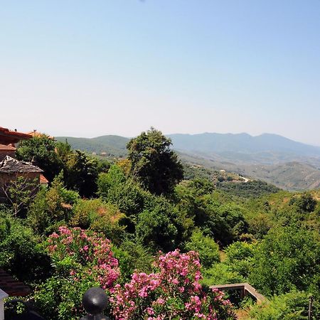 Archontiko Parisis Ξενοδοχείο Λαύκος Εξωτερικό φωτογραφία